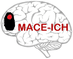 MACE-ICH logo
