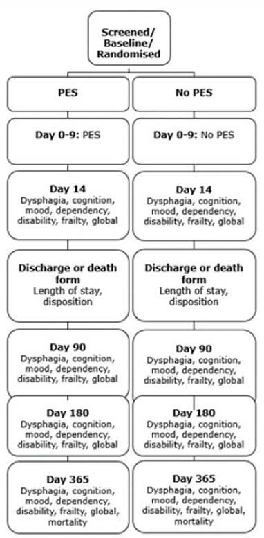 Trial flow chart